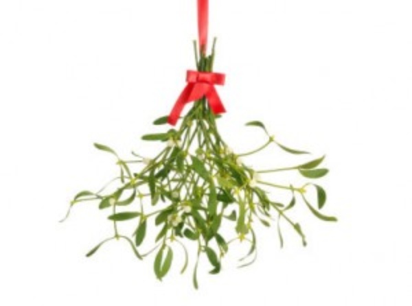 This is mistletoe. You know what to do.