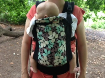 This mother had a front carrier sling for her baby and a stroller for her toddler. Sarah Blaffer Hrdy studies the many, many ways maternal care and maternal behavior have driven evolution and shaped us as a species