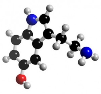 This serotonin molecule doesn't look festive — but it's the key to holiday happiness. Guess how you make it?